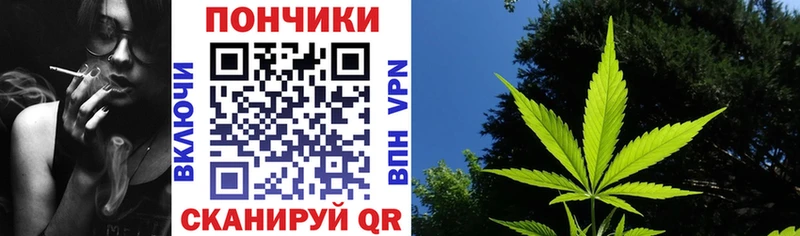 Бошки марихуана Bruce Banner  где продают наркотики  ОМГ ОМГ ссылки  Буй 